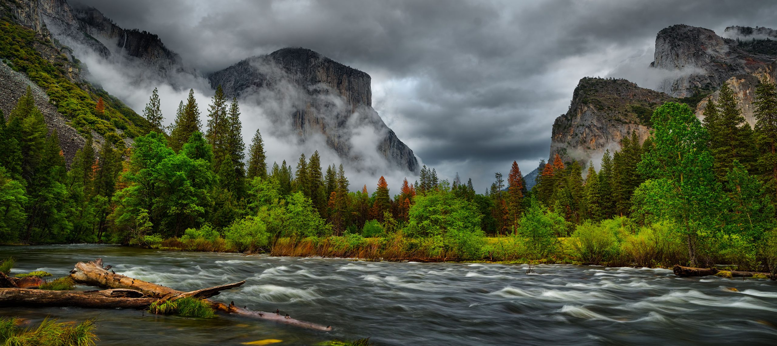 Yosemite photography workshops