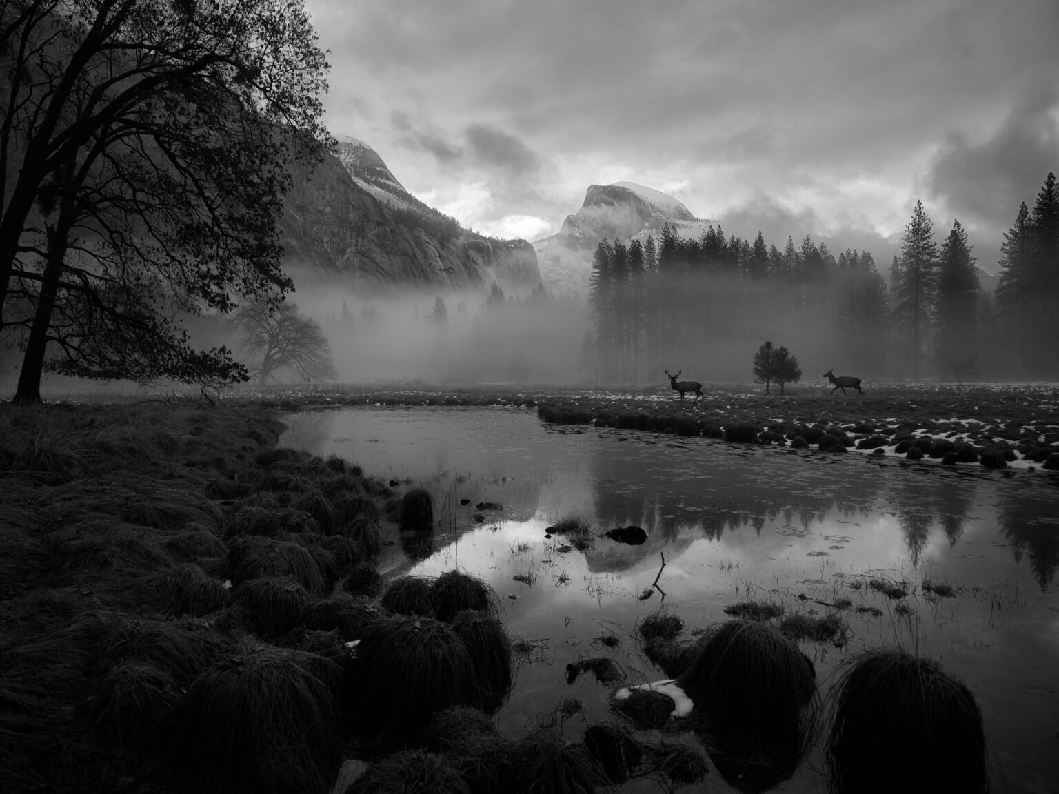 CCooks Meadow, Yosemite National Park in Winter